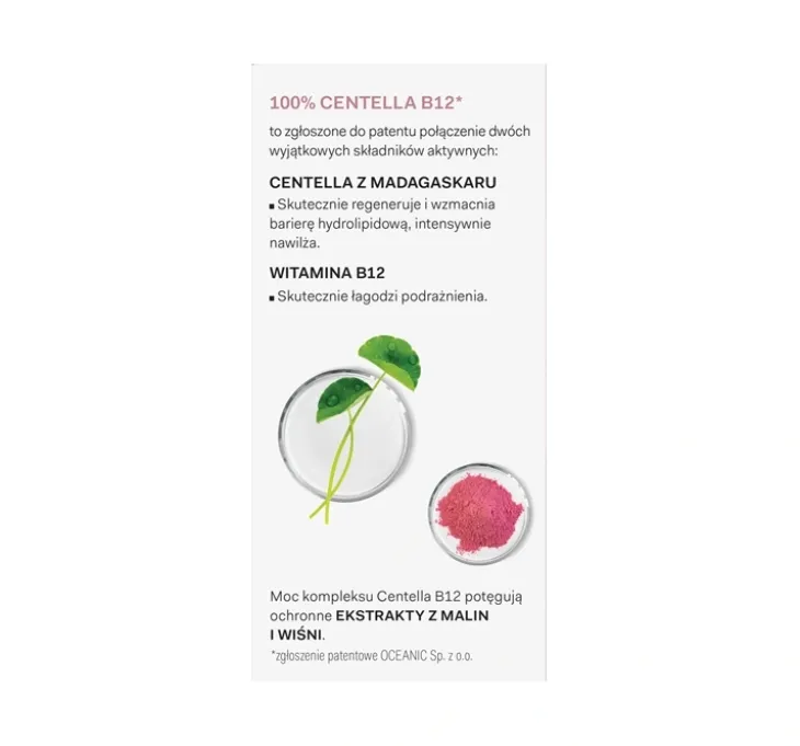 AA LAAB 100% Centella B12 Puddin' Formula Recovery&Moisture maska do ust 15 g