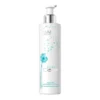 Bandi Professional Pure Care morski żel oczyszczający do twarzy 230 ml