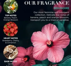 Baylis & Harding Boudoire zestaw prezentowy krem pod prysznic 300 ml + pianka do kąpieli 300 ml + balsam do ciała 130 ml + krem do mycia ciała 130 ml + mydło 100 g + sól do kąpieli100 g + gąbka