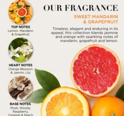 Baylis & Harding Sweet Mandarin & Grapefruit zestaw prezentowy żel pod prysznic 100 ml + balsam do ciała 100 ml + mydło kostce 100 g