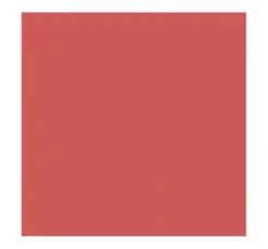 Bell Olive Soul multifunkcyjny krem do twarzy 01 Rose Olive 4,8 g