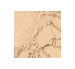 Bell Professional Blur Perfect puder do twarzy 02 10 g