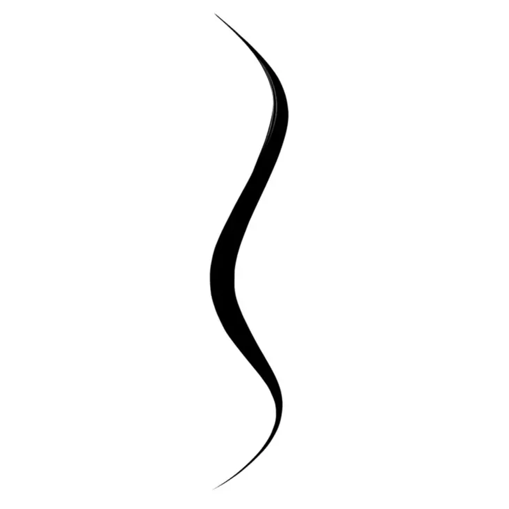 Bourjois Liner Pinceau Tubing eyeliner w płynie 01 Ultra Black 2,5 ml