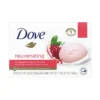 Dove Go Fresh mydło w kostce Pomegranate & Hibiscus Tea 90 g