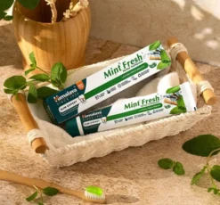 Himalaya ziołowa pasta do zębów Mint Fresh 75 ml