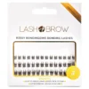 Lash Brow rzęsy bondingowe w kępkach Brownie Basic 8/10/12 mm