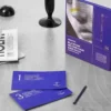 Mediheal zestaw do usuwania zaskórników na nosie