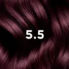 Phyto Hair Color farba do włosów 5.5 jasny mahoniowy brąz