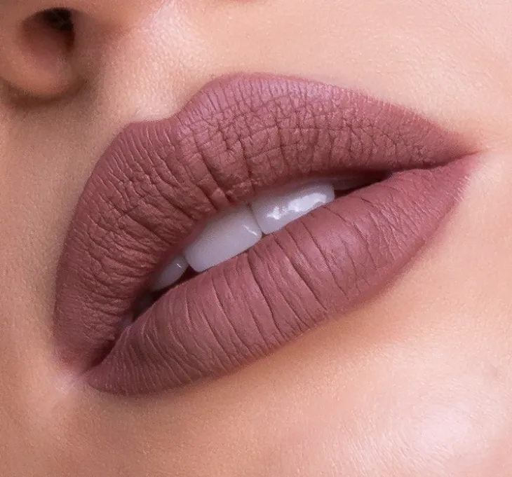 PIERRE RENE COVER MATTE MATOWA POMADKA DO UST05 ROSY BROWN 5ML