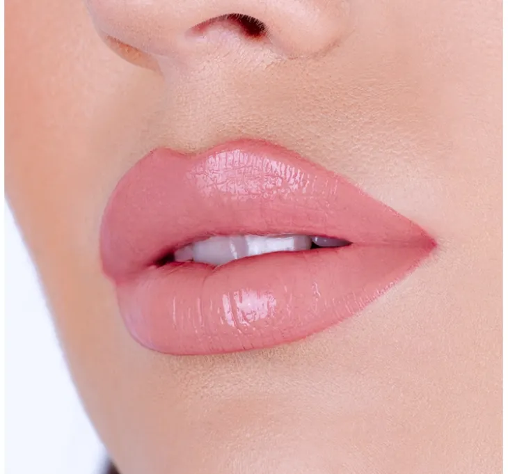 Pierre Rene Lip Kit zestaw do makijażu ust 06 Lip Nude Fusion