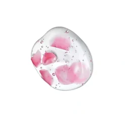 Revolution Pro Eternal Rose nawilżające serum do twarzy 20ml