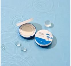 Round LAB Birch Juice Moisutrizing Sun Cushion SPF 50+ PA++++ nawilżający krem ochronny w poduszeczce z sokiem z brzozy 15 g