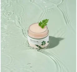 Round LAB Mugwort Calming Cream łagodzący krem do twarzy z bylicą 80ml