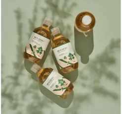 Round LAB Mugwort Calming Toner kojący tonik do twarzy z bylicą 300ml