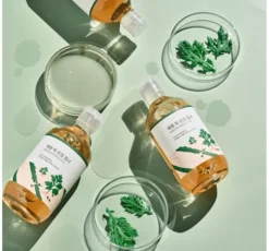 Round LAB Mugwort Calming Toner kojący tonik do twarzy z bylicą 300ml
