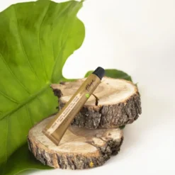 Thuya Vegan Eyelash Regenerating Cream wegański arganowy regeneracyjny krem do brwi i rzęs 15 ml