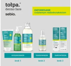 Tołpa Dermo Face Sebio BB matujący krem korygujący do twarzy 40 ml