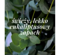 Veoli Botanica Shield Me Daily mineralny dezodorant pielęgnujący dla skóry normalnej 50 ml